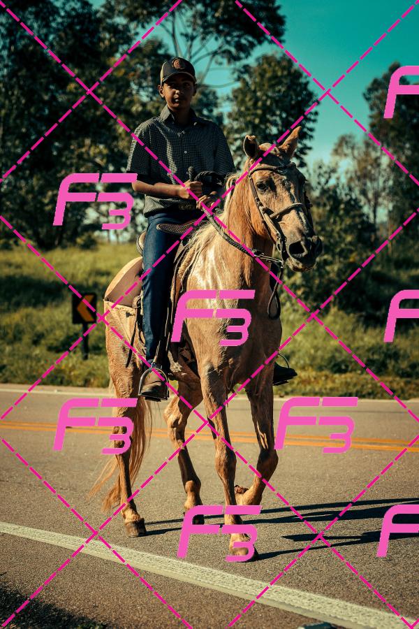 PC