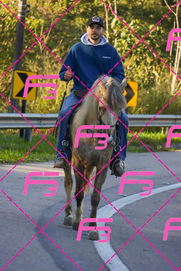 PC