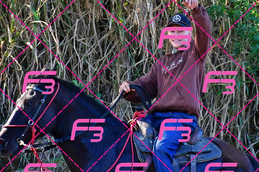 PC
